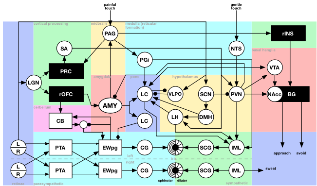 A Computational Model of Trust